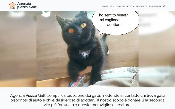 Sito Agenzia Piazza Gatti, versione desktop
