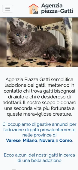 Sito Agenzia Piazza Gatti, versione mobile