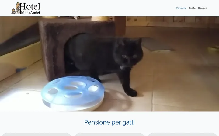 Sito Hotel Mici & Amici, versione desktop
