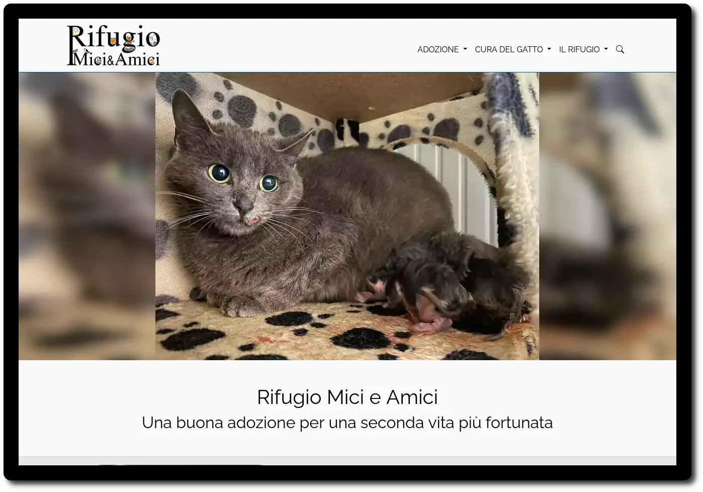 homepage screenshot hotel mici e amici